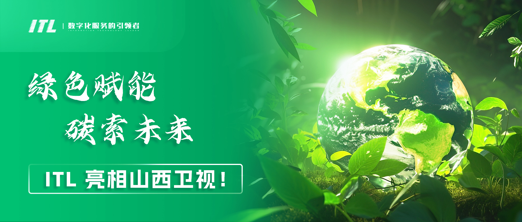 2024.11.13头图(1).jpg