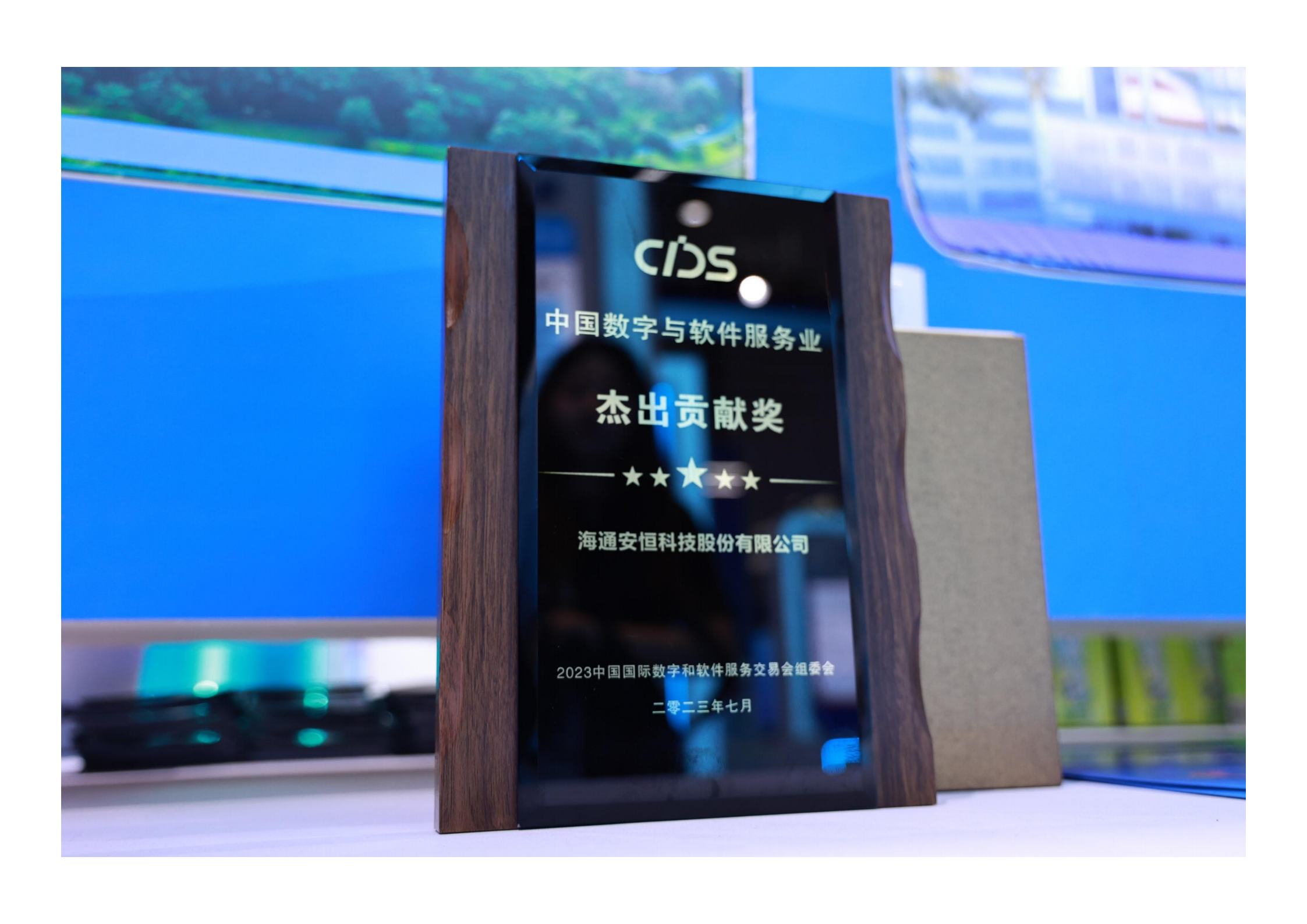 9-zhongguoshuziyuruanjianfuwuye-jiechugongxianjiang_00.png